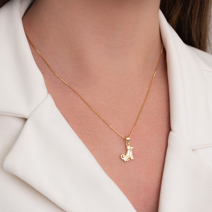 DOG NECKLACE WITH ZIRCONIA COLLAR 